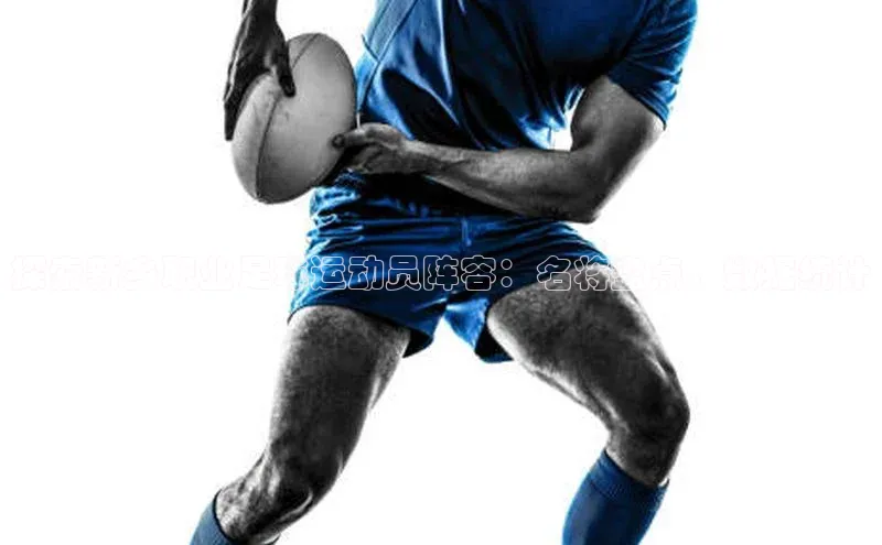 头号玩家官方网站京东探索新乡职业足球运动员阵容：名将盘点、数据统计