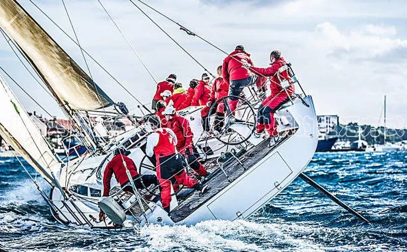 龙八国际app官方下载汉得信息小白鸡的运动会：健康与快乐的生活方式