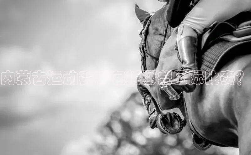 龙8中国官网唯一入口哇咔哇咔文化内蒙古运动赛事包括哪些国际比赛？