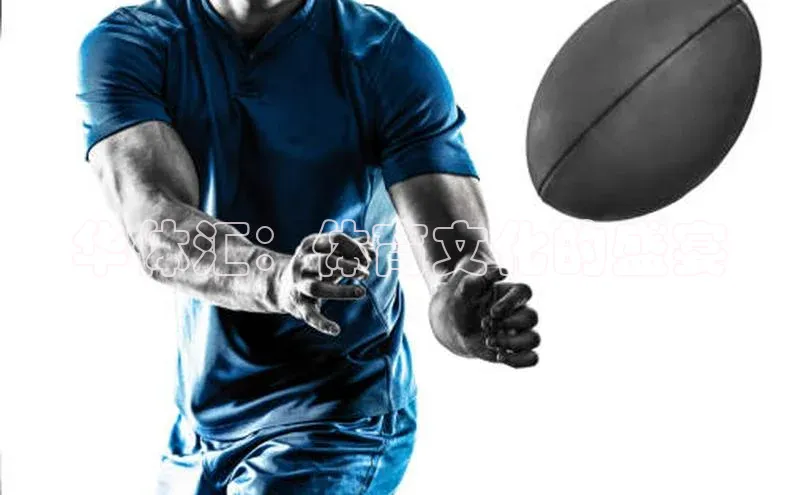 华体汇：体育文化的盛宴