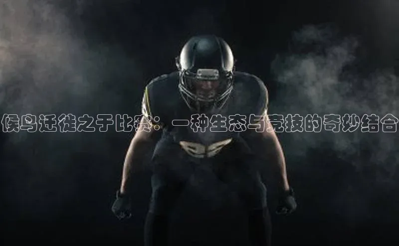 候鸟迁徙之于比赛：一种生态与竞技的奇妙结合