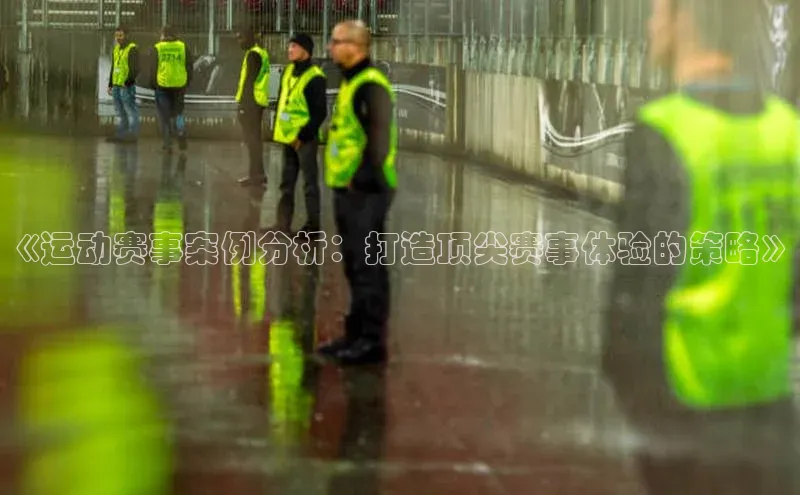 《运动赛事案例分析：打造顶尖赛事体验的策略》