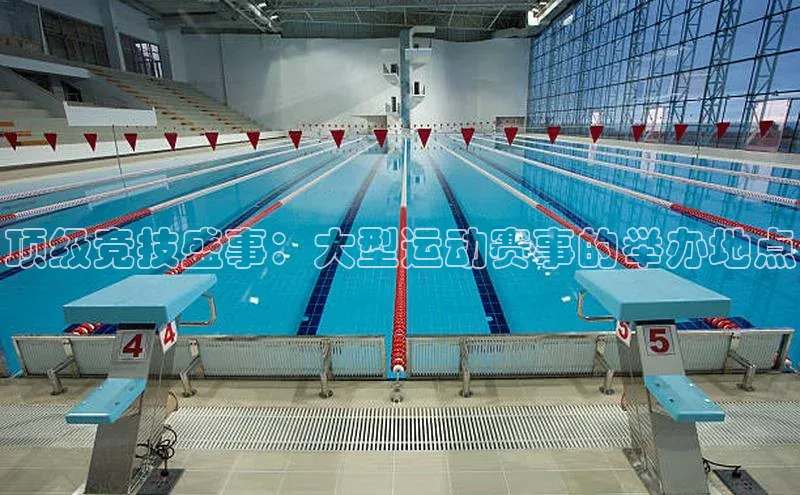 顶级竞技盛事：大型运动赛事的举办地点