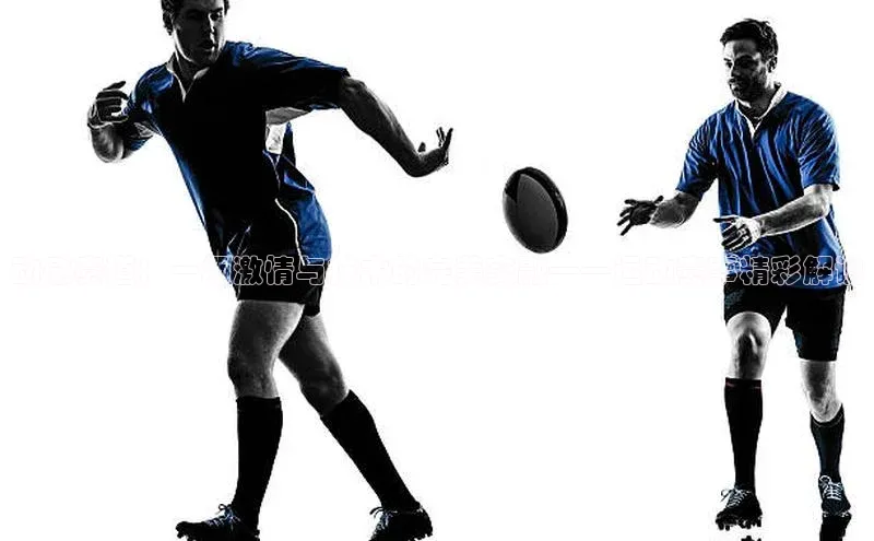 动感赛道：一场激情与技术的完美交融——运动赛事精彩解说