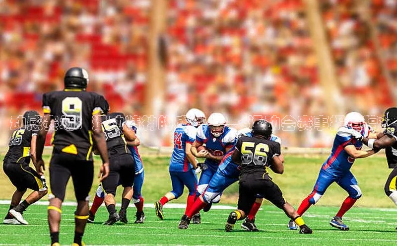 动感赛场：运动精神的盛宴——<运动会赛事报道稿>