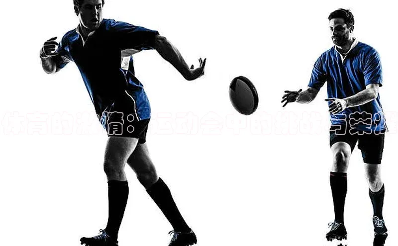 体育的激情：运动会中的挑战与荣耀