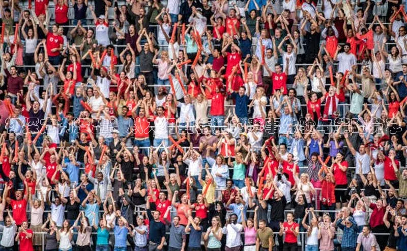 初探定向运动：从入门到精通的赛事体验与策略分享