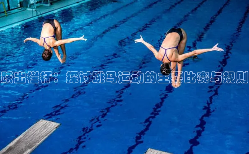 跃出栏杆：探讨跳马运动的主要比赛与规则