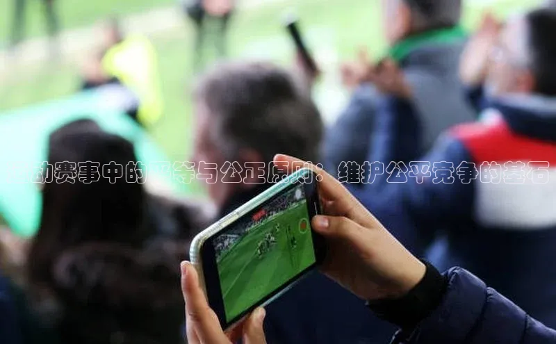 运动赛事中的平等与公正原则：维护公平竞争的基石