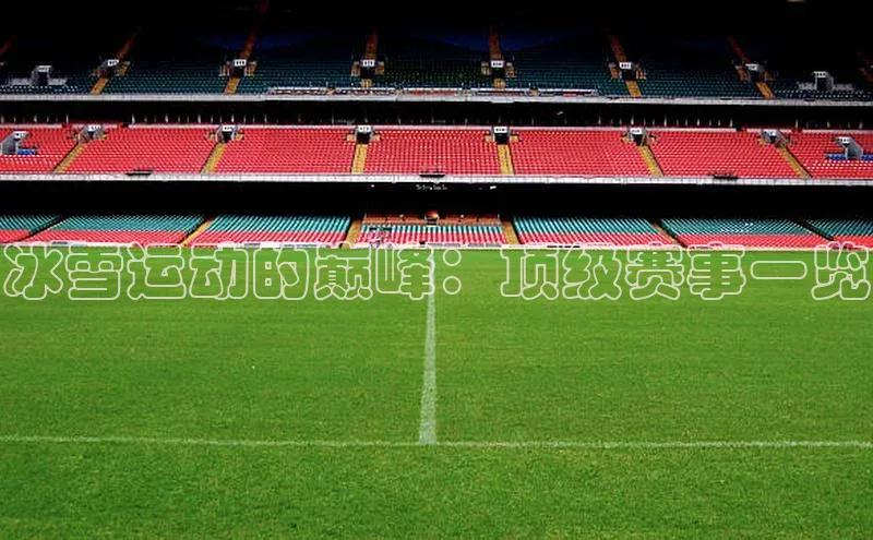 冰雪运动的巅峰：顶级赛事一览