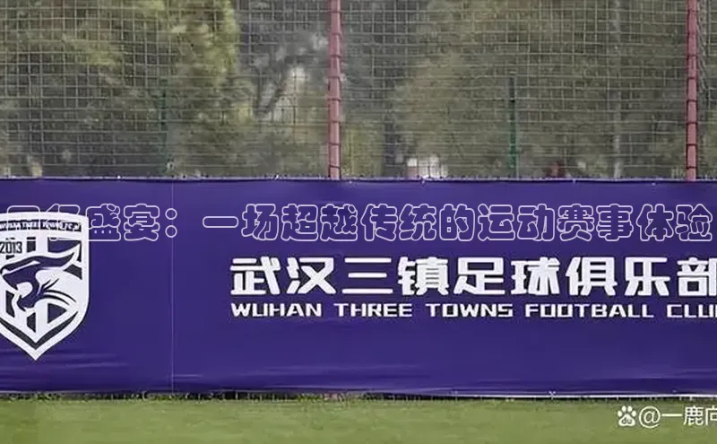 田径盛宴：一场超越传统的运动赛事体验