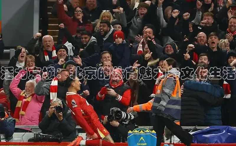 活力京城：北京的体育魅力与文化生活